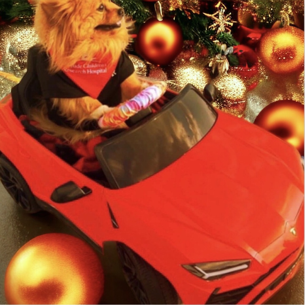 Happy New Year 🎆 2024 - Picture 4 of 14